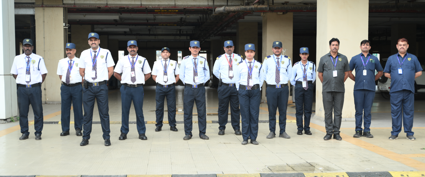 Professional Security Solutions